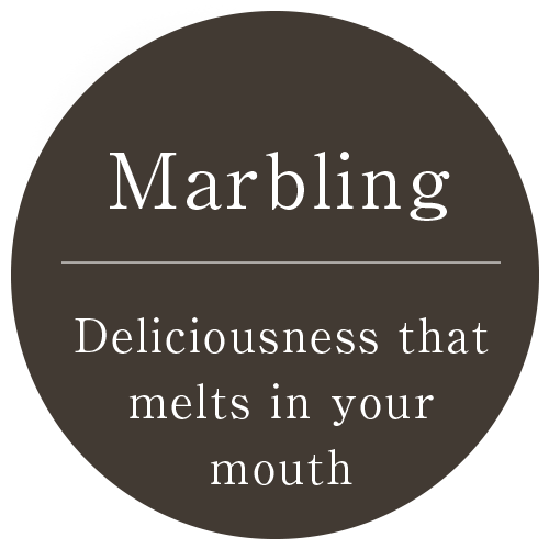 Marbling-Deliciousness that melts in your mouth